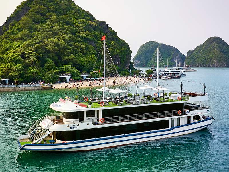 Arcady Premium Cruise - Halong Bay - 1 Day Cruise 