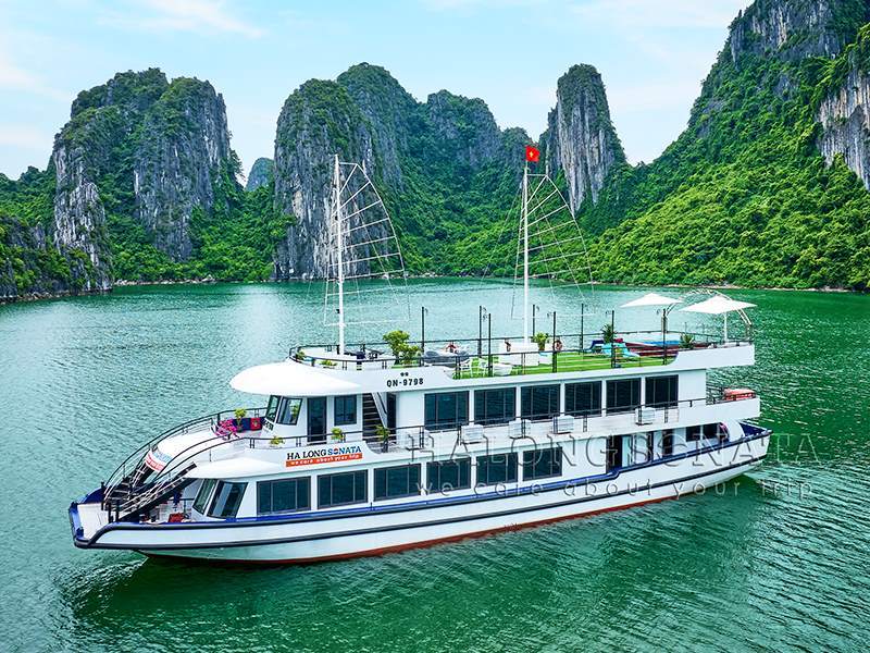 Sonata Cruise - Halong Bay - 1 Day Cruise 