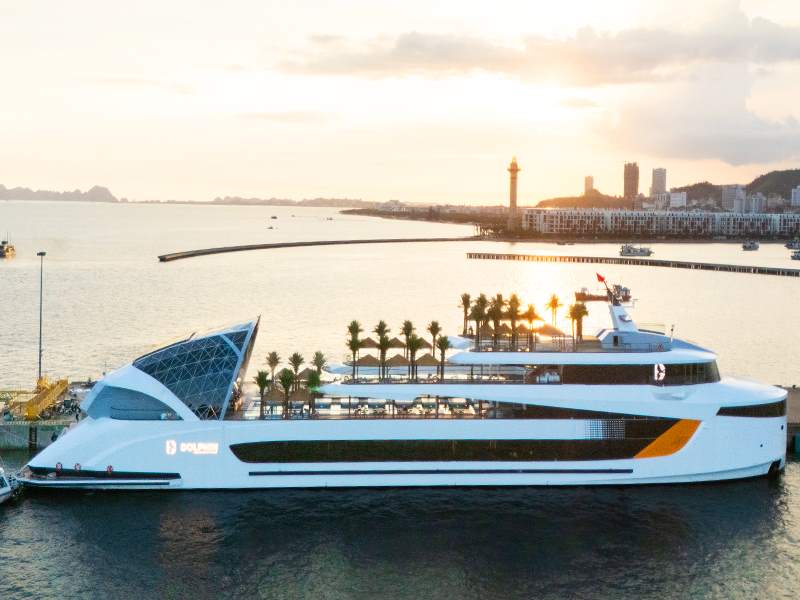 Dolphin Cruise - Halong Bay - 1 Day Cruise