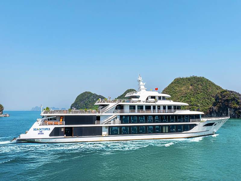Sea Octopus Cruise - Halong Bay - 1 Day Cruise 